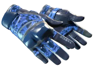 ★ Moto Gloves | Polygon