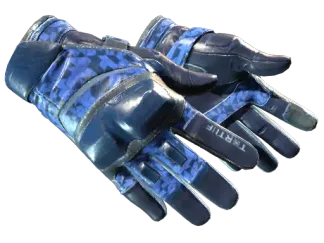★ Moto Gloves | Polygon