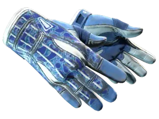 ★ Sport Gloves | Amphibious