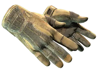 ★ Sport Gloves | Arid