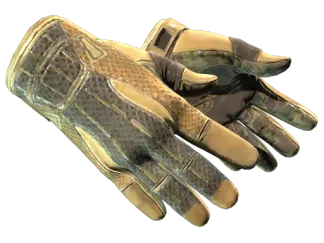 ★ Sport Gloves | Arid