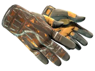 ★ Sport Gloves | Big Game