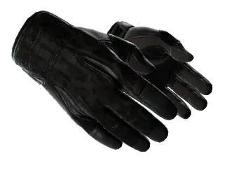 ★ Sport Gloves | Nocts