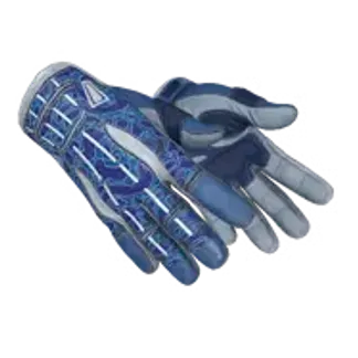 ★ Sport Gloves | Amphibious