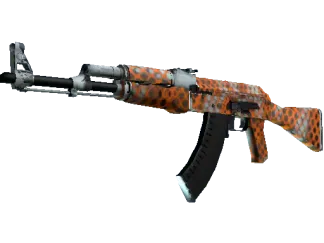 AK-47 | Safety Net