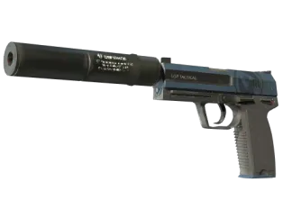 USP-S | Guardian