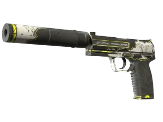 USP-S | Torque