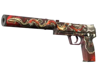 USP-S | Kill Confirmed