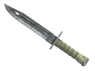 ★ Bayonet | Stained