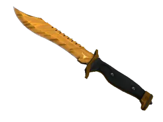 ★ Bowie Knife | Tiger Tooth