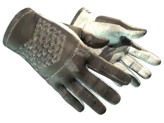 ★ Driver Gloves | Black Tie