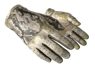 ★ Driver Gloves | King Snake