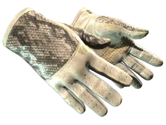 ★ Driver Gloves | King Snake