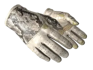 ★ Driver Gloves | King Snake