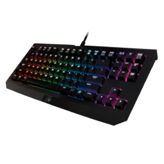 Razer Blackwidow Chroma TE V2