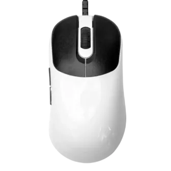 VAXEE ZYGEN NP-01S Glossy