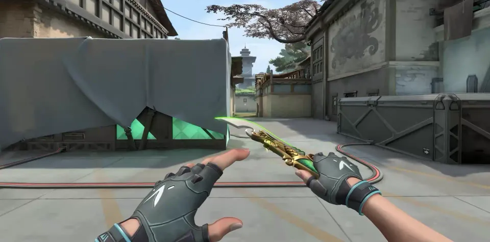 5&nbsp;Years // Beta Remastered (1 color)