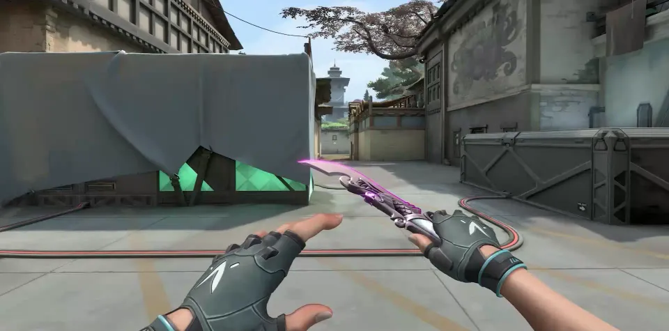 5&nbsp;Years // Beta Remastered&nbsp;(3 color)