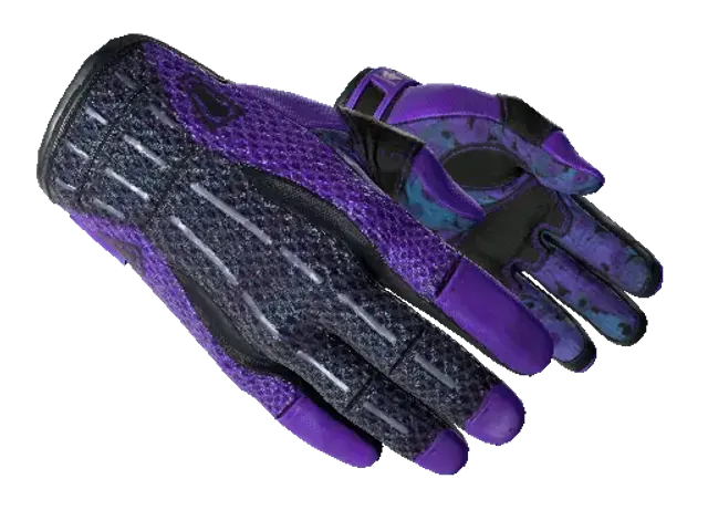 Sport Gloves | Pandora's Box