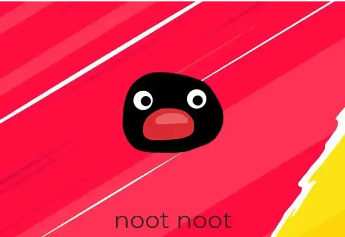 The women's team "noot noot" was disqualified from the World Championship qualifiers due to allegations of cheating