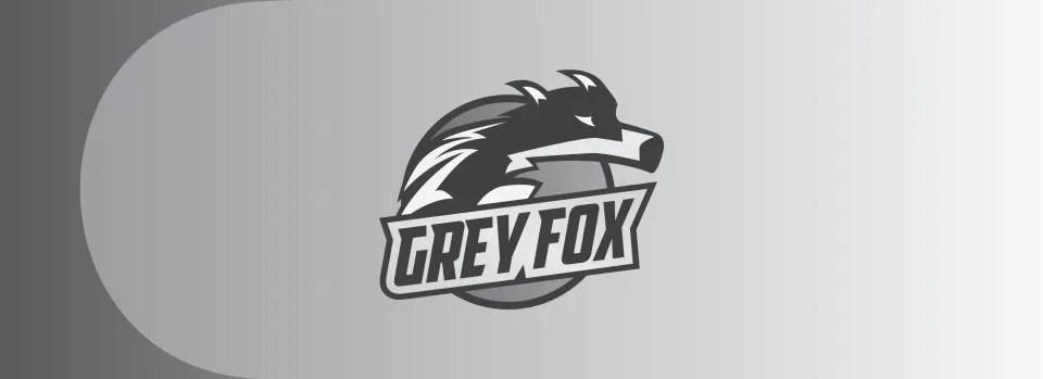 AyaNq leaves Grayfox Esports after just four months of collaboration