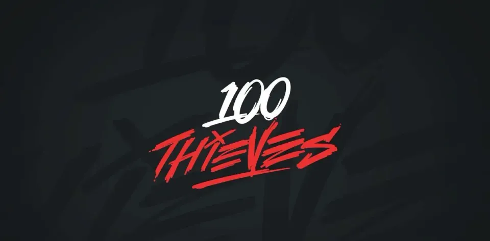 As expectativas dos fãs não se concretizaram - NaturE decidiu não permanecer na equipe 100Thieves