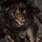 Gears of War: Reloaded, Xbox 클래식이 PS5로 4K 출시