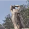 Guia da Missão de Malacath em Oblivion Remasterizado