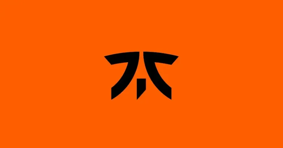 FNATIC объявили о поиске аналитика в состав по Counter-Strike 2