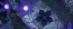 Rumores: Yunara y el nuevo campeón Darkin