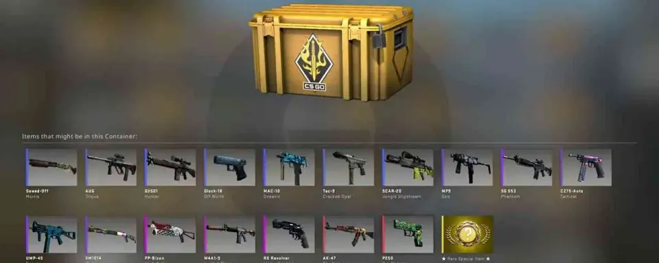 CS2 Spectrum Case
