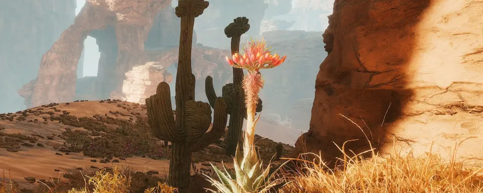 Di Mana Mendapatkan Biji Agave di Dune: Awakening