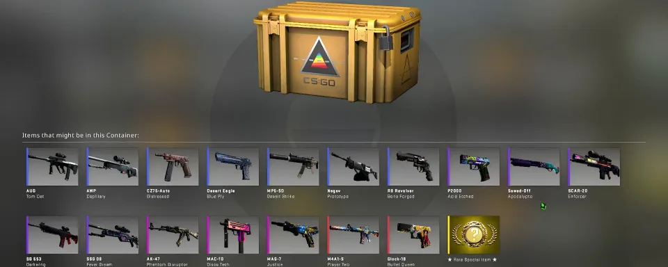 CS2 Prisma 2 Case