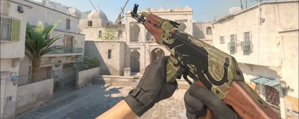 CS2 Esports 2014 Summer Case