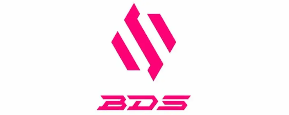 Team BDS relancerer brandet: nyt kontor, CEO og udviklingskurs