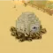 Grow A Garden Dinosaur Egg: All Pets and Their Abilities