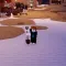 Усі ігрові пропуски в Dig Roblox