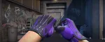 CS2 Glove Case