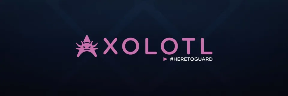 Axolotl Esports возвращается на сцену Valorant с новым составом и тренерским штабом