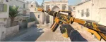 CS2 Shadow Case