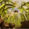 Mejores maneras de recolectar Ciencia Cruda en Grounded 2
