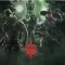 Nye skins og tilbagevenden af Doktor’s Curse og M.U.T.E. Protocol i Y10S3 Rainbow Six Siege
