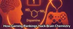 Vòng Lặp Dopamine: Cách Bảng Xếp Hạng Trò Chơi Tác Động Hóa Học Não Bộ