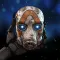 Все SHiFT-коды для Borderlands 4