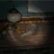Di Mana Mencari Halaman Panduan Pemula dan Pertengahan dalam Dying Light The Beast