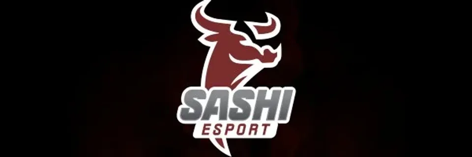 Sashi Esport вітає Еміля "sL1m3" Штольца та оголошує про зміни у складі команди