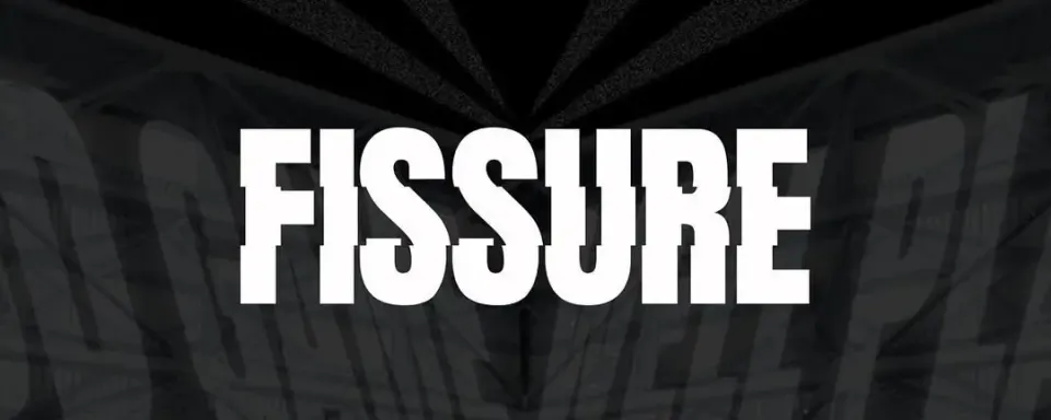 Rumor: FISSURE to Close Belgrade Office Amid Financial Crisis