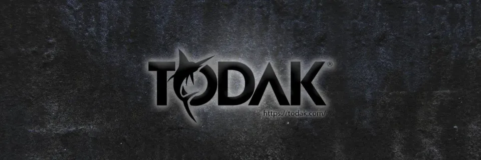 After a two-month break, WAT joins Todak Esports