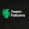 Falcons könnte Finanzierung verlieren, da Saudi-Arabiens Fonds aufgrund von E-Sport-Investitionsproblemen knapp bei Kasse ist