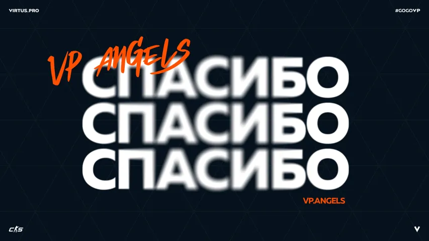 Virtus.pro приостанавливает работу женского состава CS2, VP.Angels расформировывается